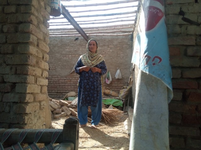 WhatsApp Image 2025-05-09 at 15.43.03 (1)