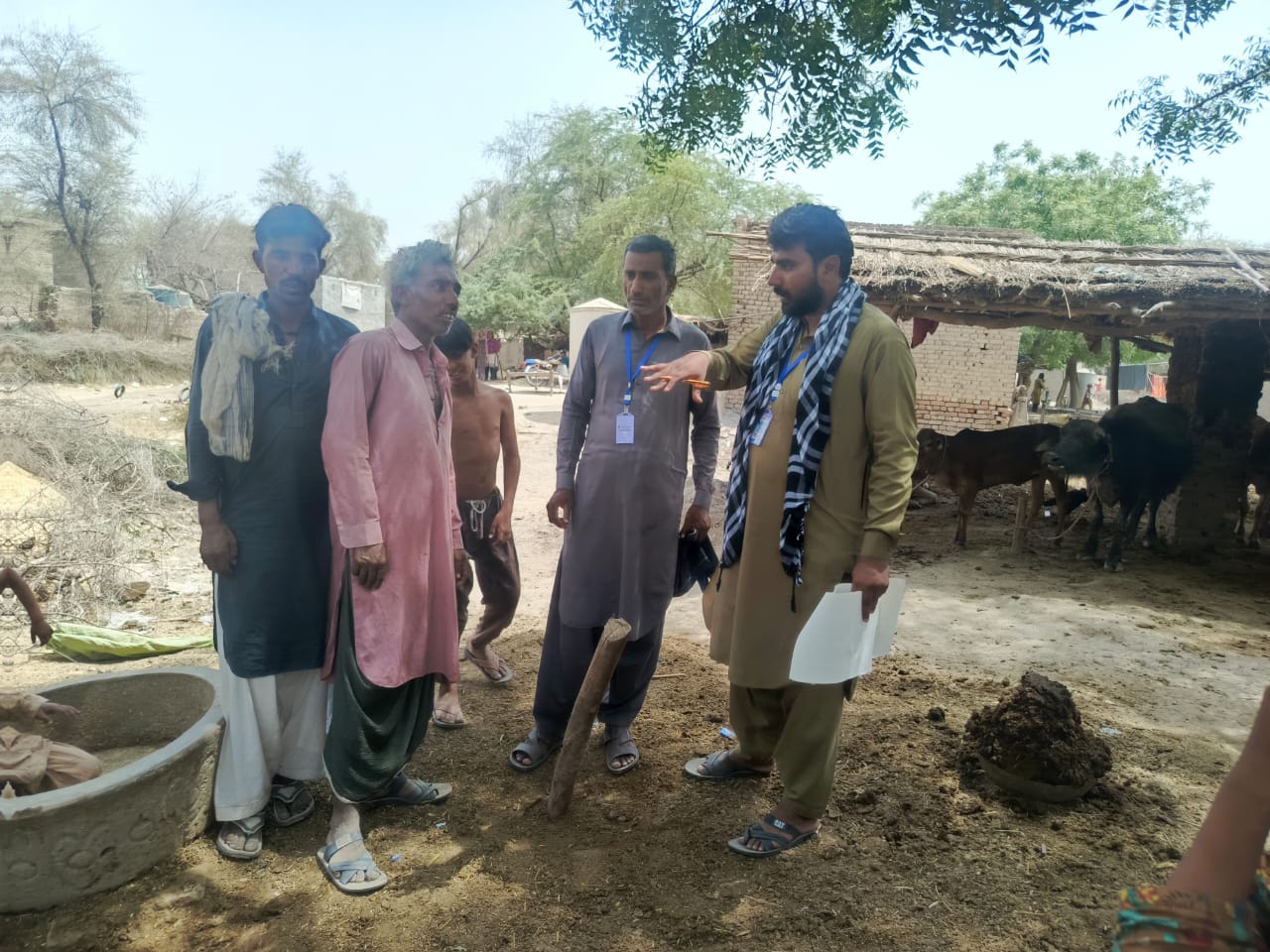 WhatsApp Image 2025-05-09 at 16.51.44 (1)