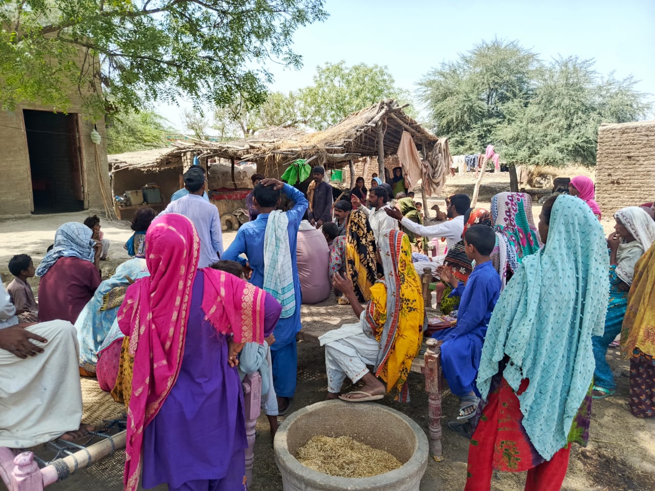 WhatsApp Image 2025-05-09 at 16.51.45