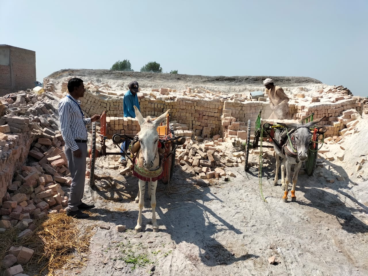 WhatsApp Image 2025-05-09 at 17.02.24