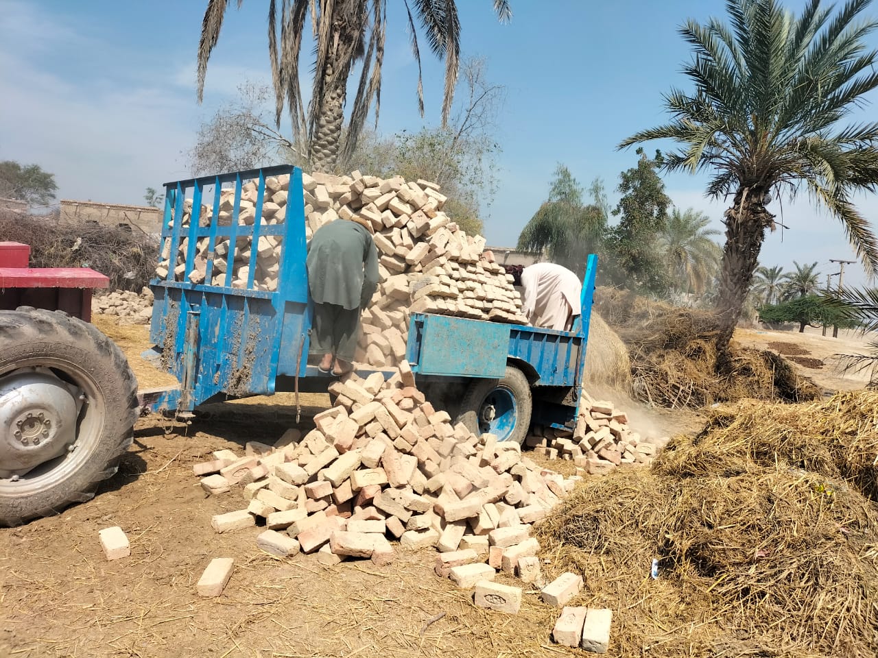 WhatsApp Image 2025-05-09 at 17.02.33