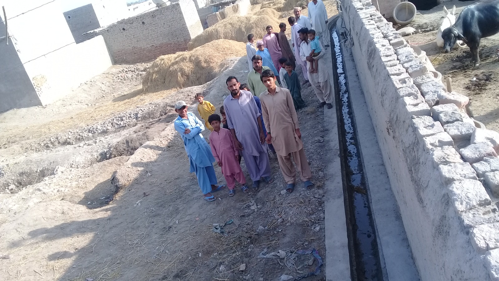 WhatsApp Image 2025-05-09 at 17.24.21