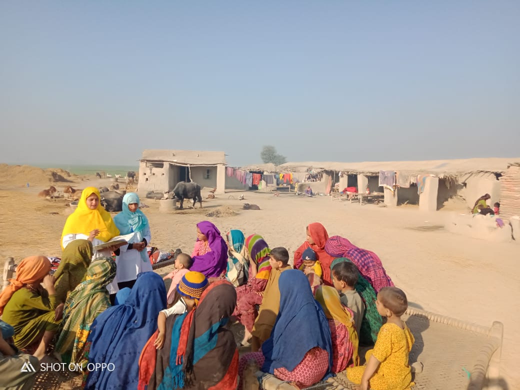 WhatsApp Image 2025-05-09 at 17.33.12