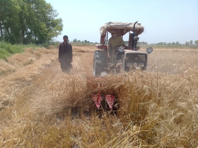 WhatsApp Image 2025-05-09 at 17.35.53