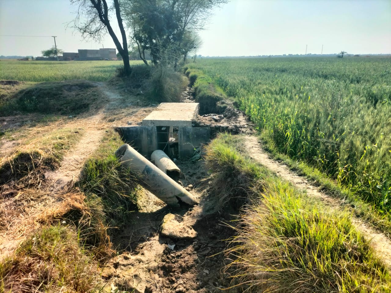 WhatsApp Image 2025-05-09 at 17.38.27 (1)