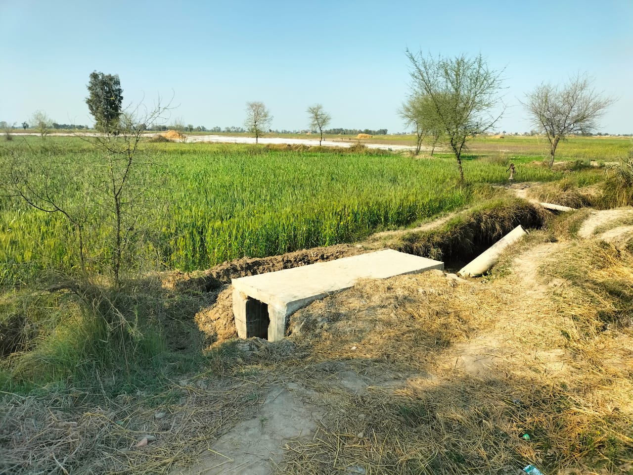 WhatsApp Image 2025-05-09 at 17.38.32 (1)