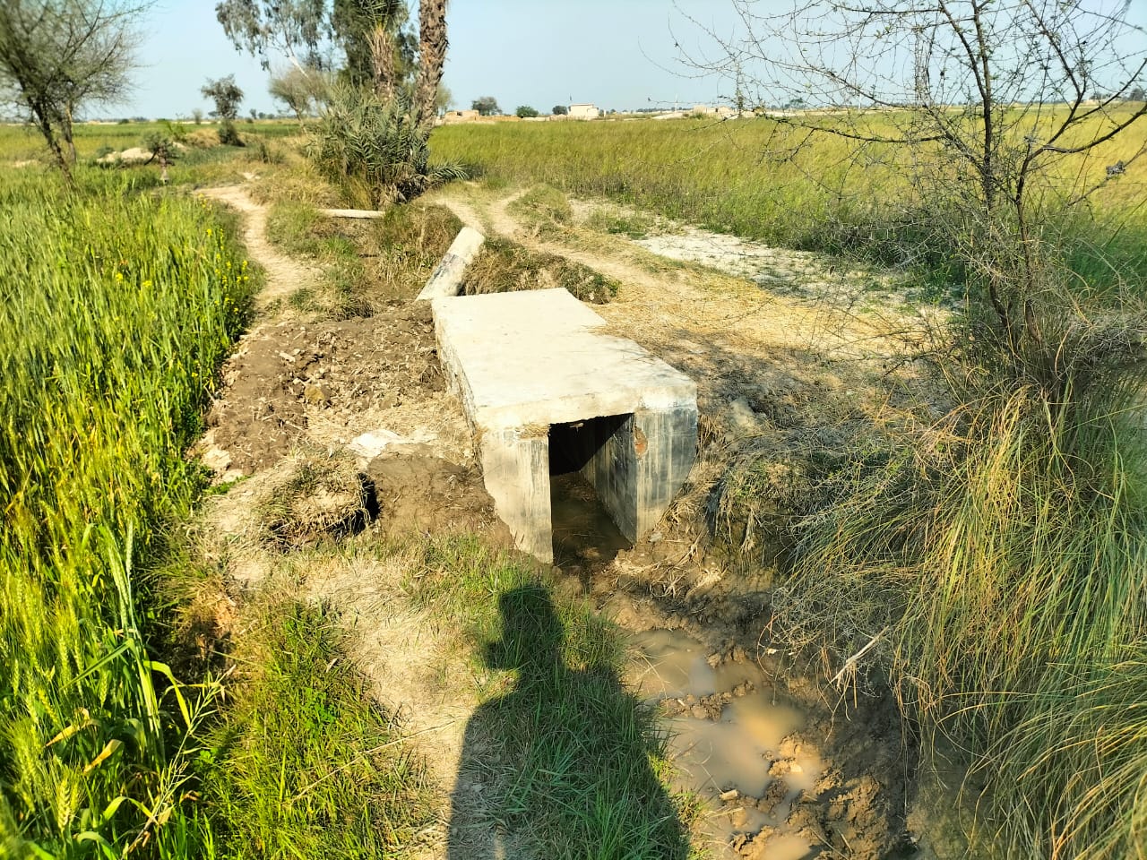 WhatsApp Image 2025-05-09 at 17.38.33 (1)